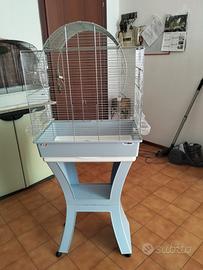 Kakariki