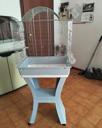 Kakariki