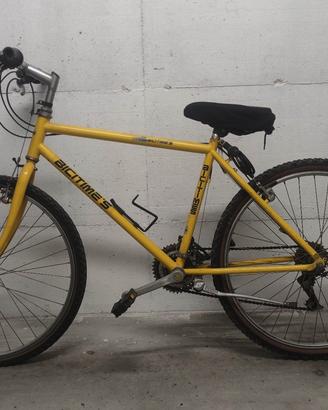 Bici Mountain bike 