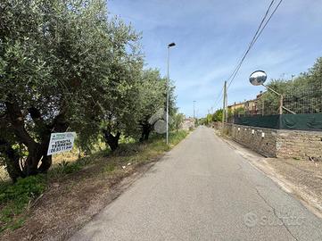 TER. AGRICOLO A LANUVIO