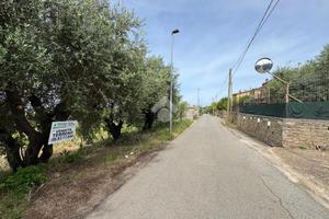 TER. AGRICOLO A LANUVIO