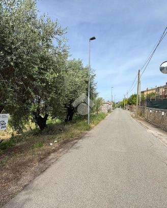 TER. AGRICOLO A LANUVIO