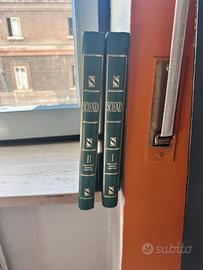 Enciclopedia “Scienza” 2 Volumi Fabbri Editore