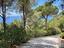 Immagine 26