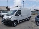 iveco-fiat-ducato-anno-2021-frigo-e-6