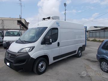 Iveco fiat ducato anno 2021 frigo e.6