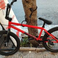 BMX Sunday Primer 