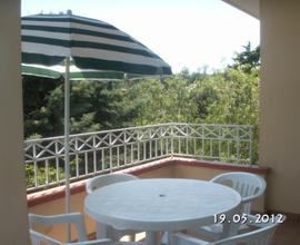 A 200 m. dal mare villette in parco