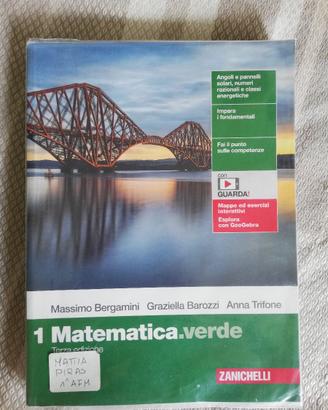 libro matematica verde 1 terza edizione Zanichelli
