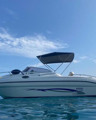 Ranieri Sea Lady 23 – Honda 225 CV- Natante