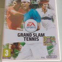 grand slam tennis wii