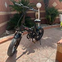 Bici elettrica ECO ZONE 25 WT