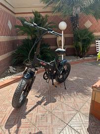 Bici elettrica ECO ZONE 25 WT