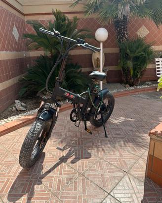 Bici elettrica ECO ZONE 25 WT
