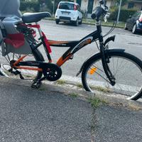 Bici da passeggio 24