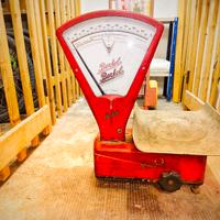 Berkel k5 bilancia 