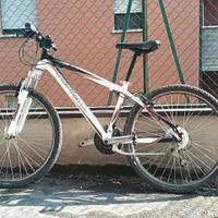 mountain bike 26