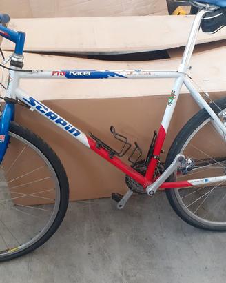 mtb scapin 