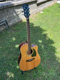 Ibanez PF15ece