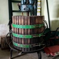 Torchio idraulico enologico