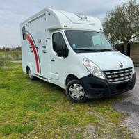 Van trasporto cavalli pat b