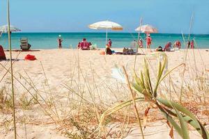 Dal 22 Agosto a 150 mt dal mare in SALENTO PUGLIA
