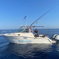 Barca da pesca Karnic bluewater 2450