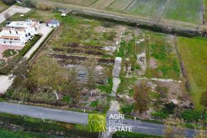 Terreno agricolo 1 HA con 2 pozzi ideale per serre