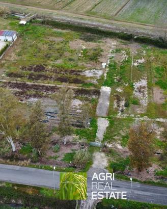 Terreno agricolo 1 HA con 2 pozzi ideale per serre