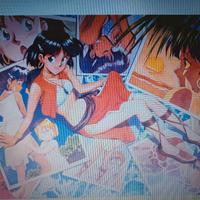 The Secret of Blue Water💠 settei + Artbook su DVD