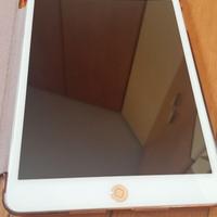 Ipad Mini4