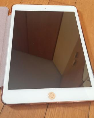 Ipad Mini4