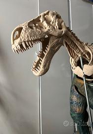 Scheletro dinosauro TRex