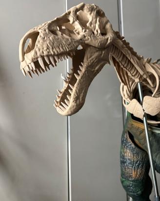 Scheletro dinosauro TRex