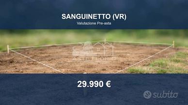 Immobile in asta di 2888 m² a Sanguinetto