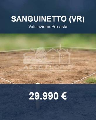 Immobile in asta di 2888 m² a Sanguinetto