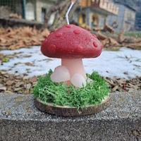 Candele in composizione