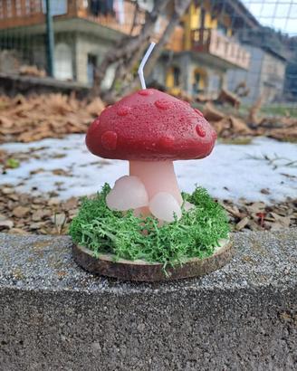 Candele in composizione