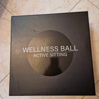Technogym Wellness Ball