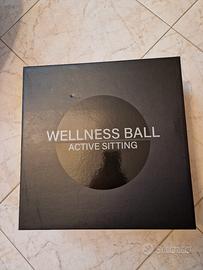 Technogym Wellness Ball