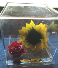 fiori in scatola da collezione 