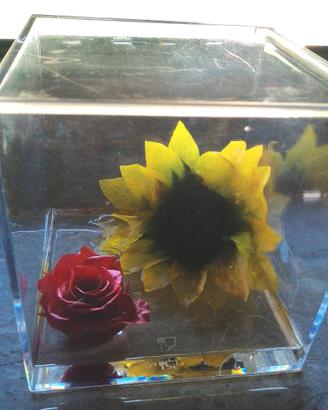 fiori in scatola da collezione 