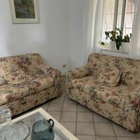 Due divani da due posti