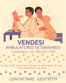 Ambulatorio veterinario