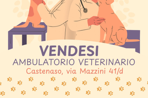 Ambulatorio veterinario