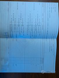Setter inglese maschio di mesi 3