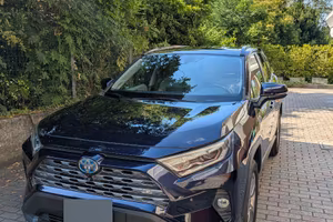 Toyota RAV4 2.5 Hybrid AWD-i Lounge 222 CV