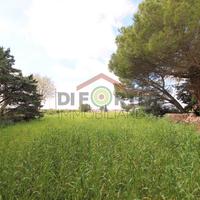 Ampio Terreno Commerciale/Direzionale