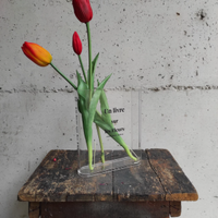 Vaso Libro in Acrilico – Decorazione Shabby Chic