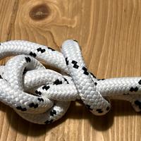 Corda Giocattolo interattivo per cani